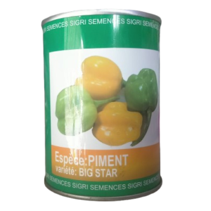 Semence de PIMENT BIG STAR 50 gr