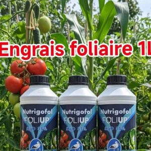 Engrais foliaire NUTRIGOFOL FOLIUP 1 litre – Toutes les cultures