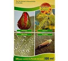 Insecticide liquide JARDIN 100 EC 100 ml – Cultures maraichères et florales, plantes ornementales, jardin