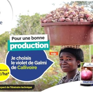 Semence d’OIGNON VIOLET DE GALMI 500 gr