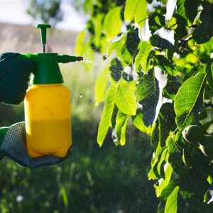 Pulvérisateur manuel 2 litres – Hygiène domestique, jardin, auto-moto