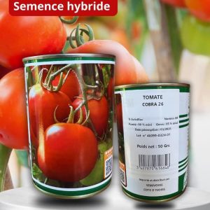 Semence hybride de TOMATE F1 COBRA 26 50 gr