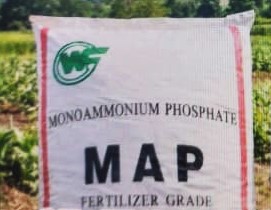 Mono Ammonium Phosphate (MAP) 25 kg – Toutes les cultures