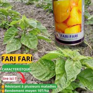Semence de PIMENT FARI FARI 50 gr