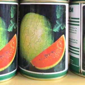 Semence de PASTEQUE GREYBELLE 50 gr