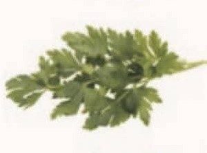 Feuilles de Persil séché 100% naturelles 1 kg