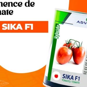 Semence hybride de TOMATE SIKA F1 50 gr