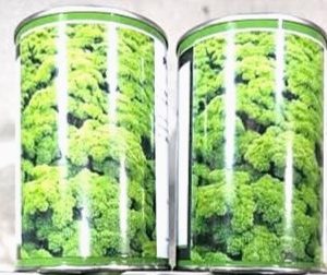 Semence de PERSIL MOUSSE FRISE VERT 100 gr