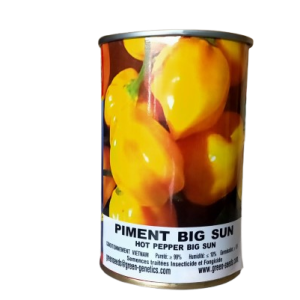 Semence de PIMENT BIG SUN (Sent Bon) 50 gr