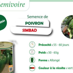 Semence hybride de POIVRON SIMBAD F1 50 gr