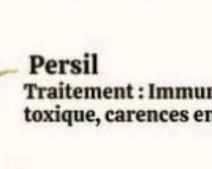 Feuilles de Persil séché 100% naturelles 1 kg