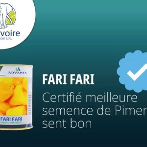 Semence de PIMENT FARI FARI 50 gr