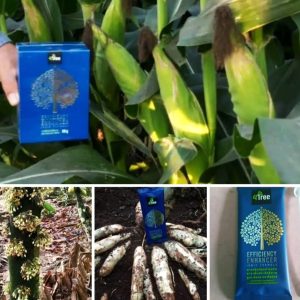 Engrais poudre ionique soluble biologique 100% naturel 4TREE 50 gr – Maïs