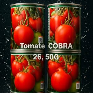 Semence hybride de TOMATE F1 COBRA 26 50 gr