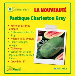 Semence de PASTEQUE CHARLESTON GRAY 50 gr