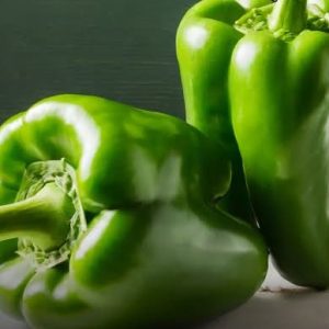 Semence de POIVRON YOLO WONDER 100 gr