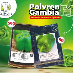 Semence hybride de POIVRON F1 GAMBIA 50 gr