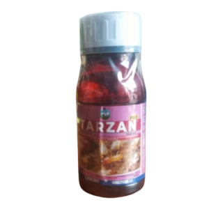 Insecticide liquide TARZAN PRO 29,2 EC 250 ml – Termites des bois et des cultures