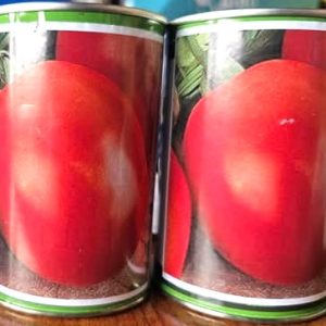 Semence de TOMATE UC 82 B 100 gr