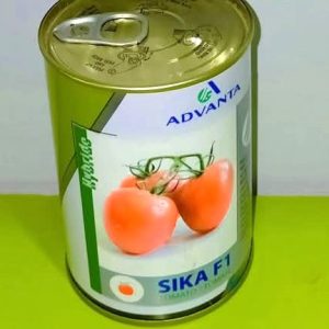 Semence hybride de TOMATE SIKA F1 50 gr