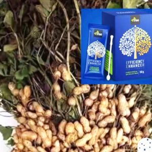 Engrais poudre ionique soluble biologique 100% naturel 4TREE 50 gr – Arachide