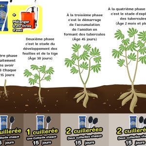 Engrais poudre ionique soluble biologique 100% naturel 4TREE 50 gr – Manioc