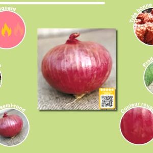 Semence d’OIGNON VIOLET DE GALMI 100 gr