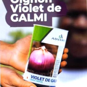 Semence d’OIGNON VIOLET DE GALMI 50 gr