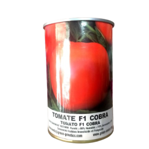 Semence hybride de TOMATE F1 COBRA 26 50 gr