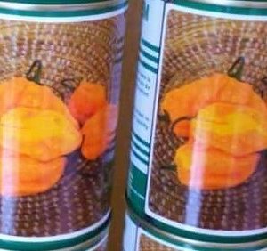 Semence de PIMENT ESTRELLA 50 gr