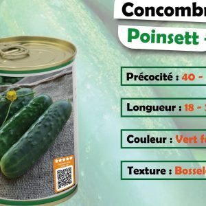 Semence de CONCOMBRE POINSETT+ 100 gr