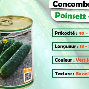Semence de CONCOMBRE POINSETT+ 100 gr
