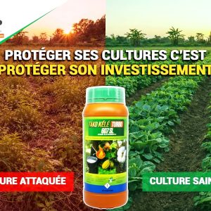 Herbicide liquide total TAKO KELE TURBO 607 SL 1 litre – Anacarde, cacao, coton, hévéa