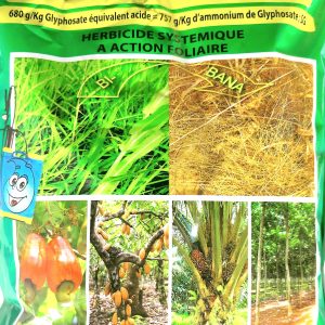 Herbicide granulé total de post-levée BIBANA 680 SG 1 kg – Toutes les cultures