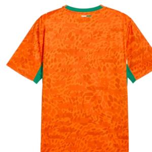 Maillot de football Domicile COTE D’IVOIRE Pro simple Coupe du Monde 2026