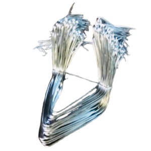 Support de tasse de saignée du latex – Hévéa