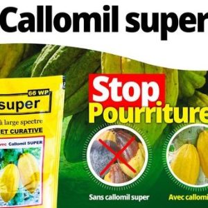 Fongicide poudre CALLOMIL SUPER 66% WP 50 gr – Spécial cacao