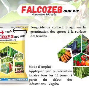 Fongicide poudre FALCOZEB 800 WP 50 gr – Cultures maraichères