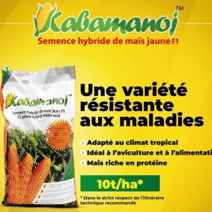 Semence hybride de maïs jaune KABAMANOJ F1 10 kg