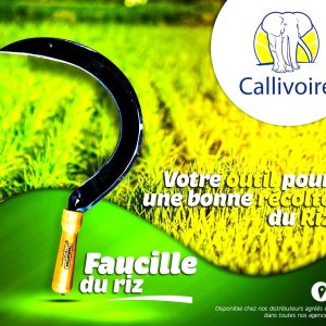 Faucille récolteuse du riz en acier forgé et trempé TRAMONTINA 42 cm manche bois – Agriculture, bricolage, jardinage