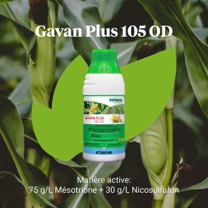 Herbicide liquide sélectif de post-levée GAVAN PLUS 105 OD 200 ml – Maïs