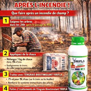 Biostimulant foliaire YIRIFLA 1 litre – Toutes les cultures