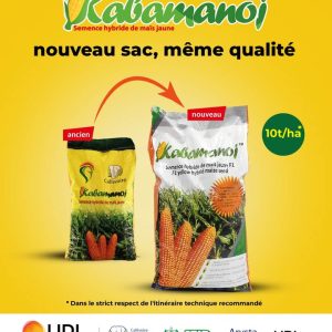 Semence hybride de maïs jaune KABAMANOJ F1 10 kg