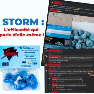 Raticide STORM – Domicile, bureau, hygiène publique, entrepôt, ferme, exploitation agricole