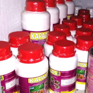 Acaricide liquide KAPAAS 80 EC 250 ml – Cultures maraichères, coton, maïs