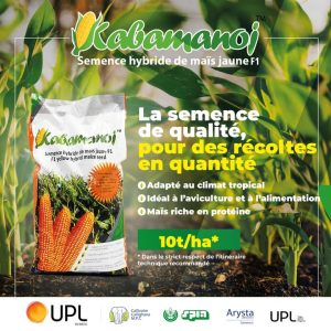 Semence hybride de maïs jaune KABAMANOJ F1 10 kg