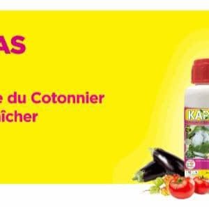 Acaricide liquide KAPAAS 80 EC 500 ml – Cultures maraichères, coton, maïs