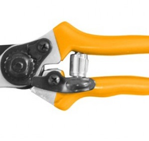 Sécateur à fleur INGCO 8’’ 205 mm – Jardinage, agriculture