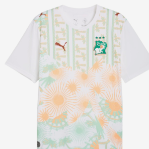 Maillot de football Extérieur COTE D’IVOIRE Pro simple Coupe du monde 2026