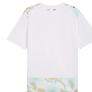 Maillot de football Extérieur COTE D’IVOIRE Pro simple Coupe du monde 2026